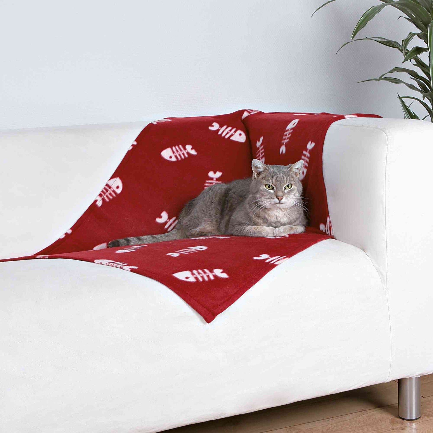 Manta Beany para Gatos