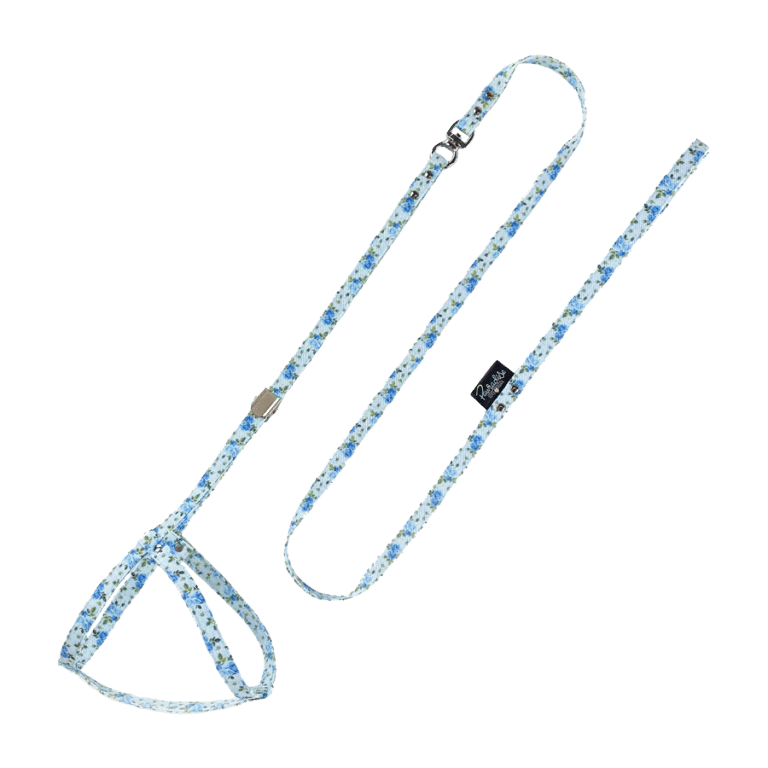 Conjunto All in One Liberty azul