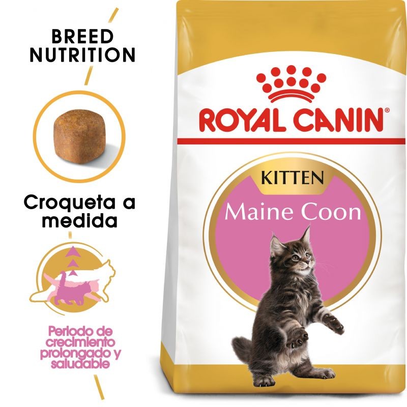 Royal Canin Kitten Maine Coon