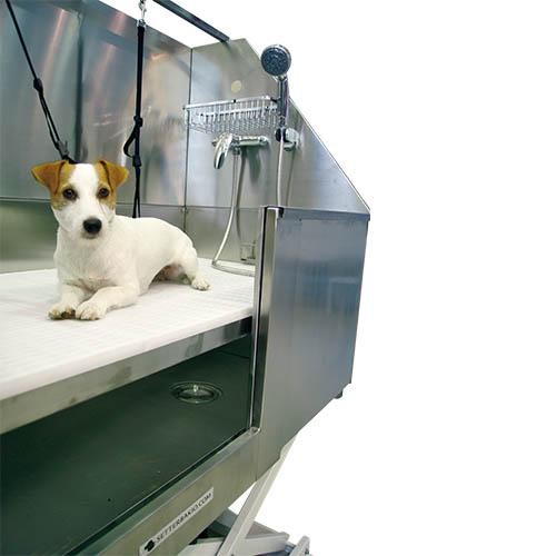 Bañera Ibáñez Eléctrica Acero Inox Niágara con Puerta