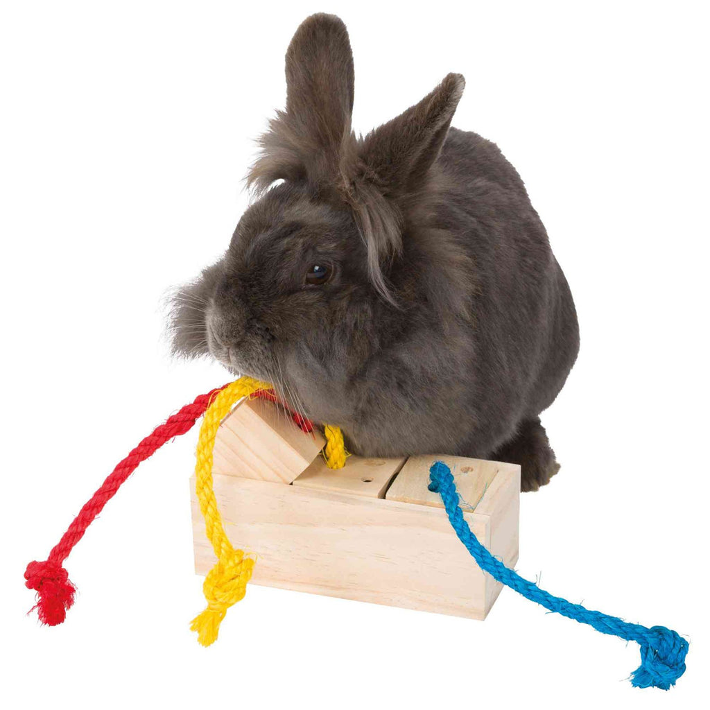 Juguete para Loros Cubo de Snacks Interactivo
