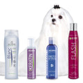 Kit Pack Raza Bichón Maltes