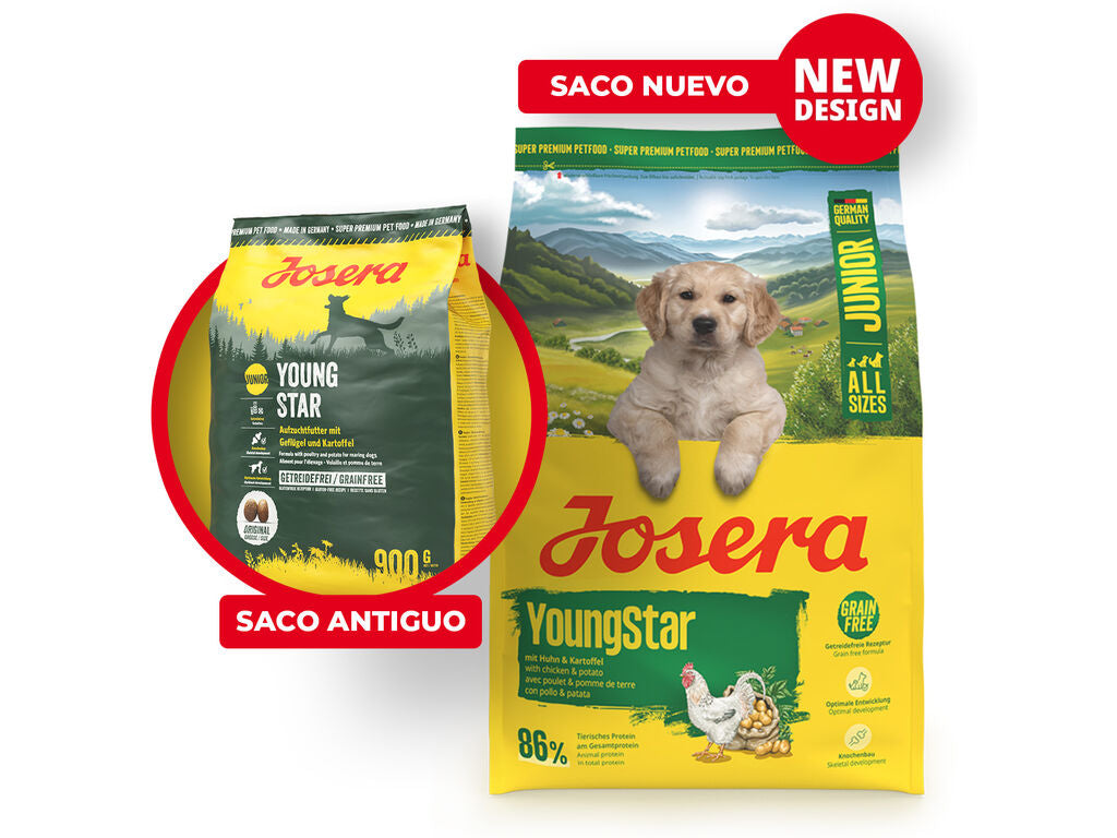 YoungStar