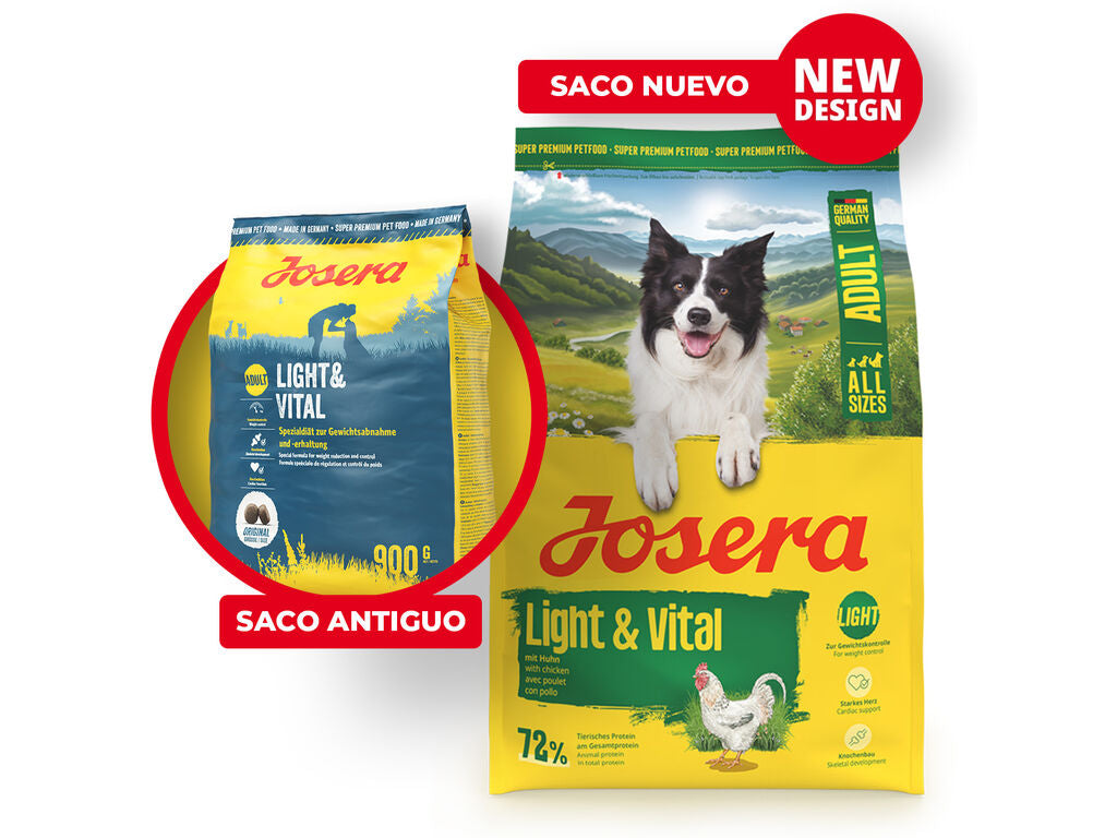 Light & Vital