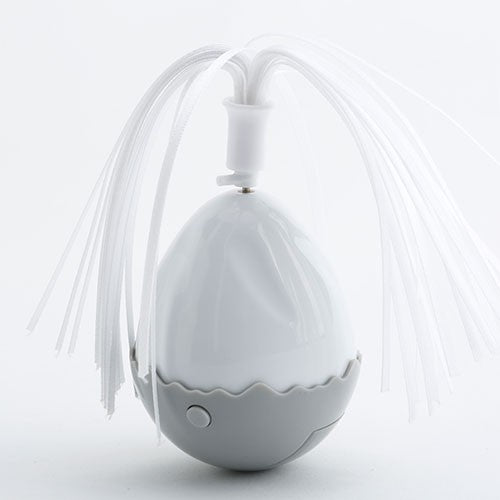 Electronic Motion Egg