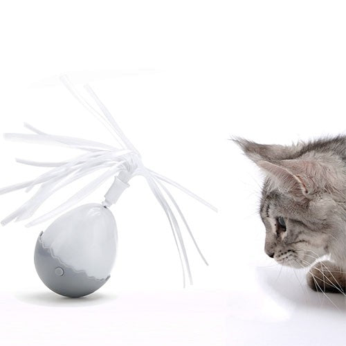 Electronic Motion Egg