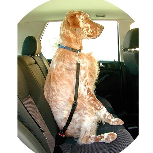 Cinturón de seguridad Ibáñez Dogway