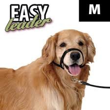 Easy Leader para perros