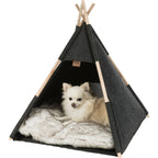 Trixie Cueva Tipi