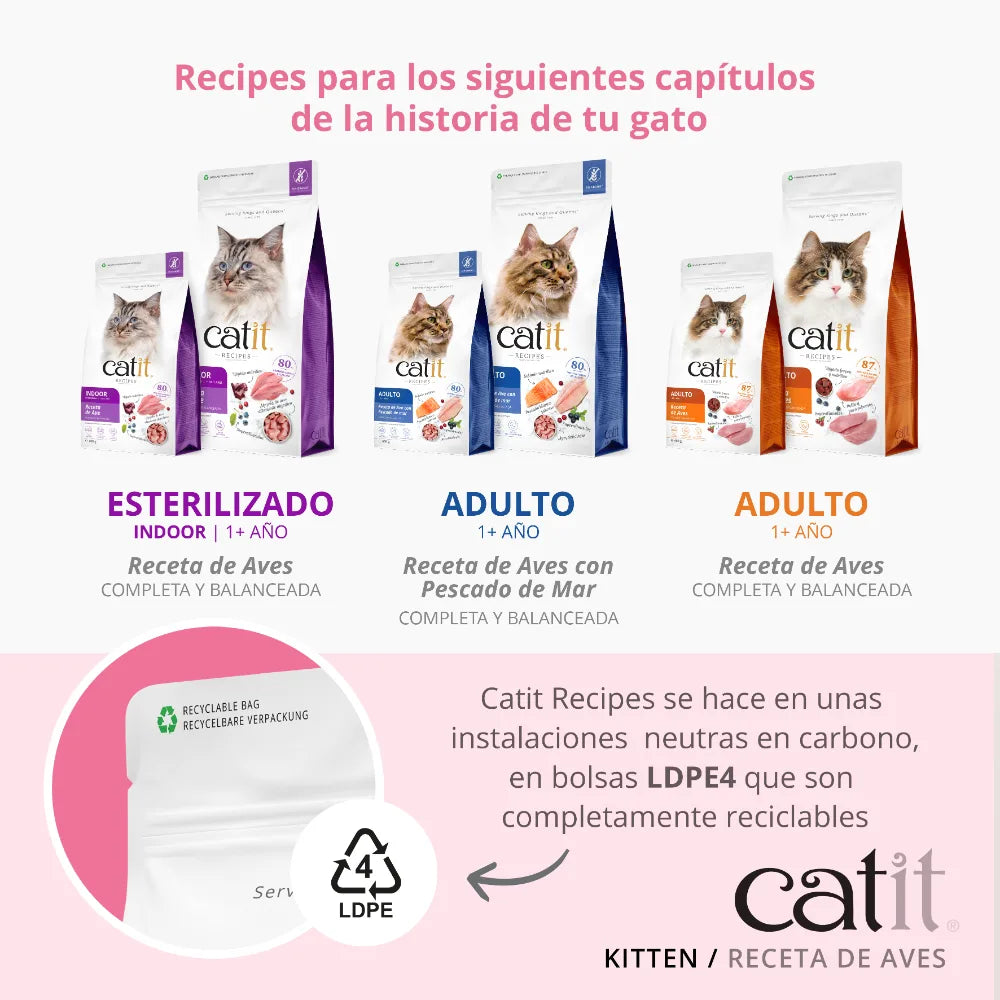 Catit Recipes Kitten Pollo, 400g - Pack de 6 unidades