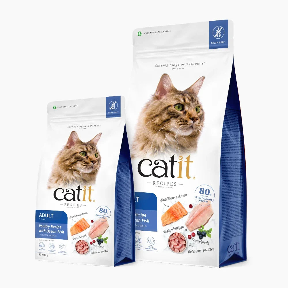 Catit Recipes Adulto Pescado de Mar, 2kg - Pack de 4 unidades