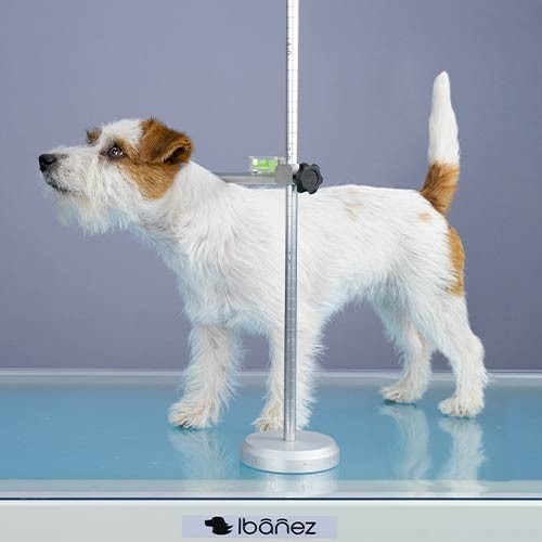 Medidor para perros y gatos