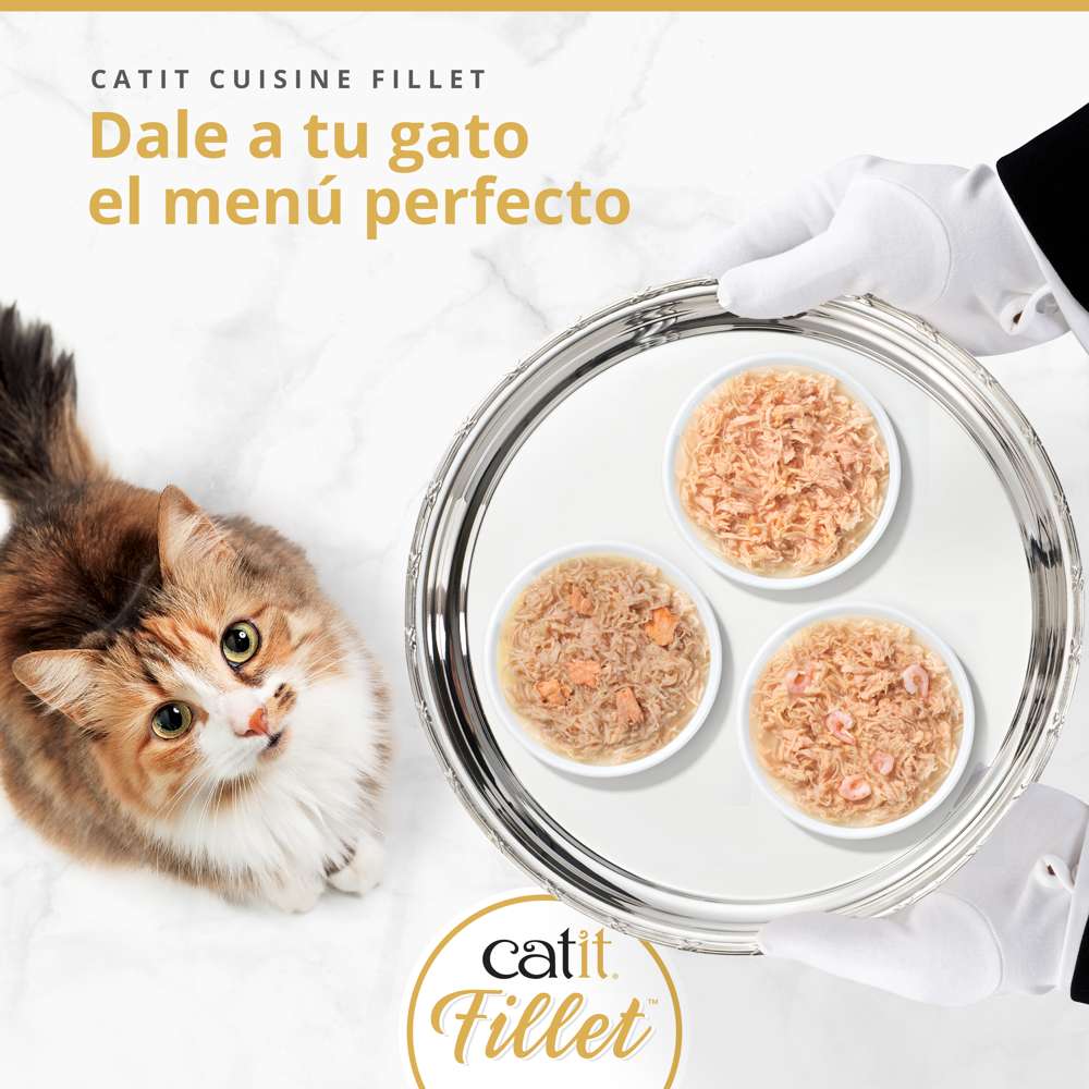 Pollo desmenuzado para gatos Catit Cuisine Fillet 75g - Pack de 12 unidades
