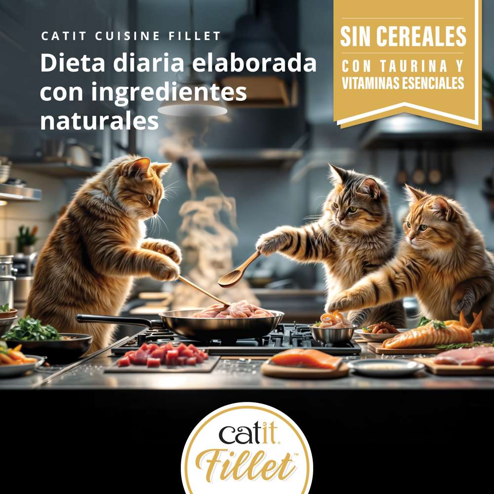 Pollo desmenuzado para gatos Catit Cuisine Fillet 75g - Pack de 12 unidades