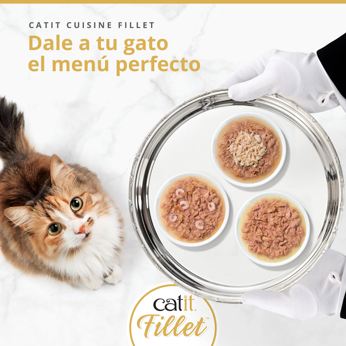 Atún desmenuzado para gatos Catit Cuisine Fillet 75g - Pack de 12 unidades