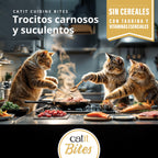 Trocitos de carne en salsa para gatos Catit Cuisine Bites 75g - Pack de 12 unidades