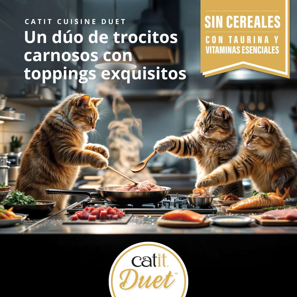 Dúo de carne con toppings para gatos Catit Cuisine Duet
