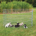 Recinto Cachorros natura
