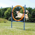 Aro para Agility azul/naranja