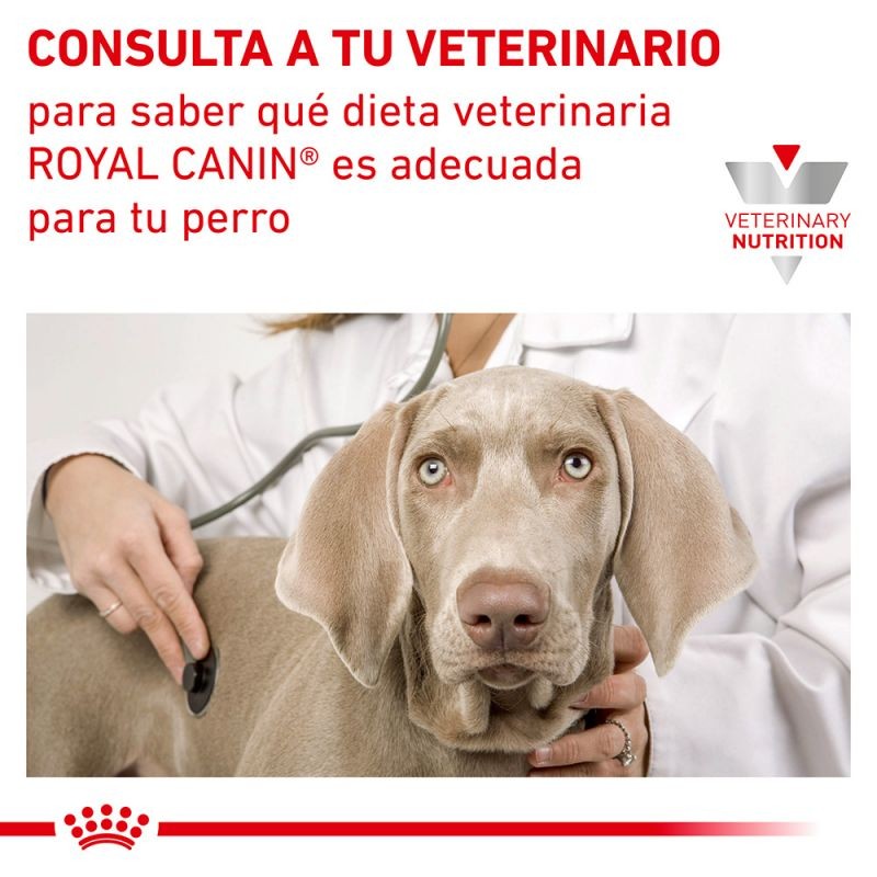 Royal Canin Veterinary Canine Diabetic Special Low Carb Mousse Pack 12uds