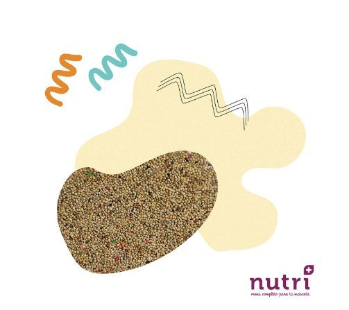 Nutri+ Aves Mixtura Periquito y Exóticos 900gr