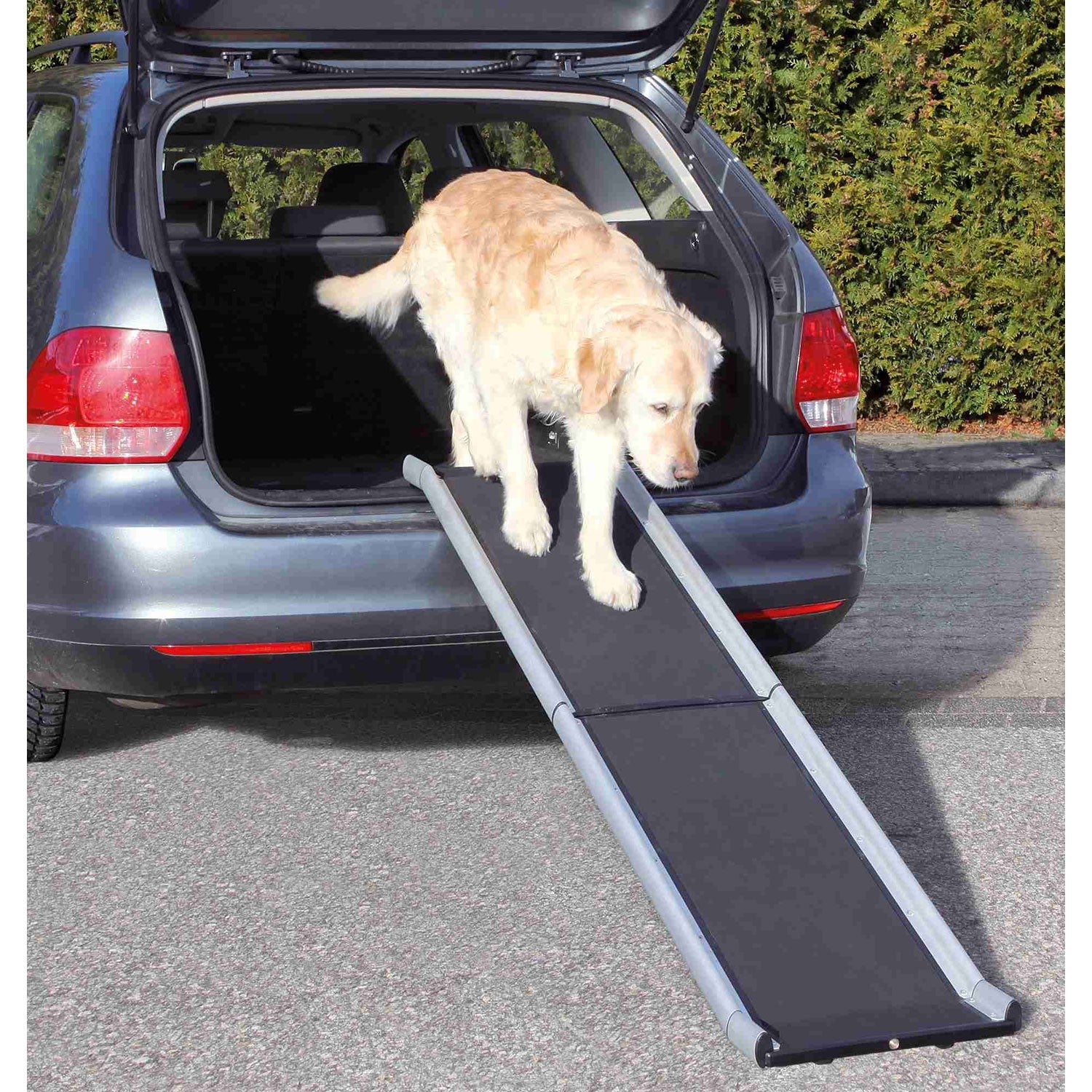 Rampa Plegable Petwalk negro