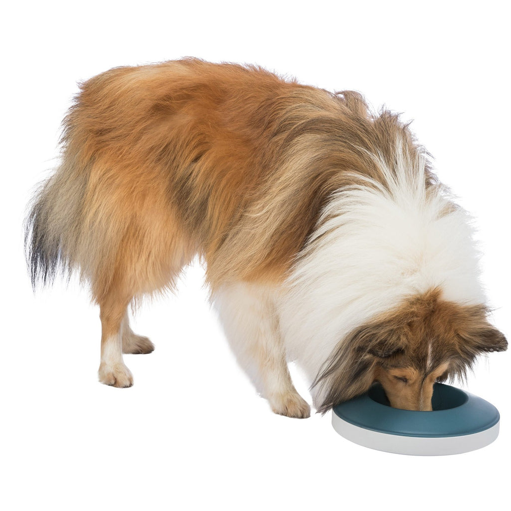 Slow Feeding Comedero Rocking Bowl gris/azul