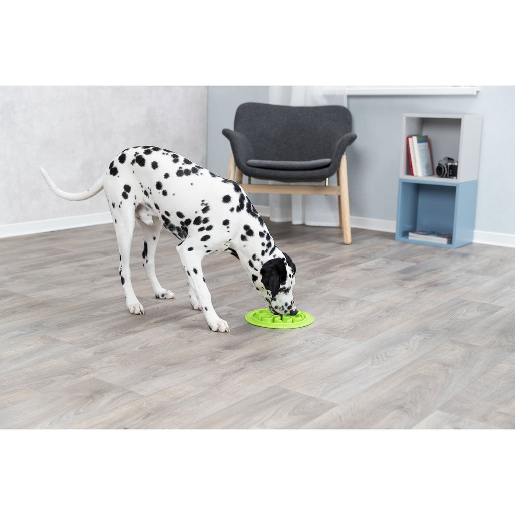 Mantel para Alimento Slow Feed - Pack de 4 unidades varios