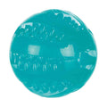 Pelota Denta Fun