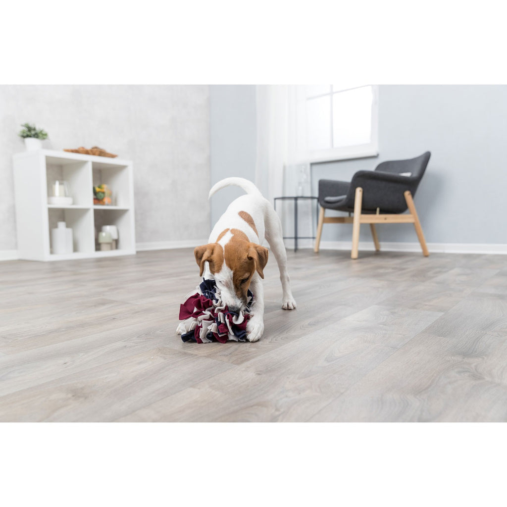 Pelota para olfatear