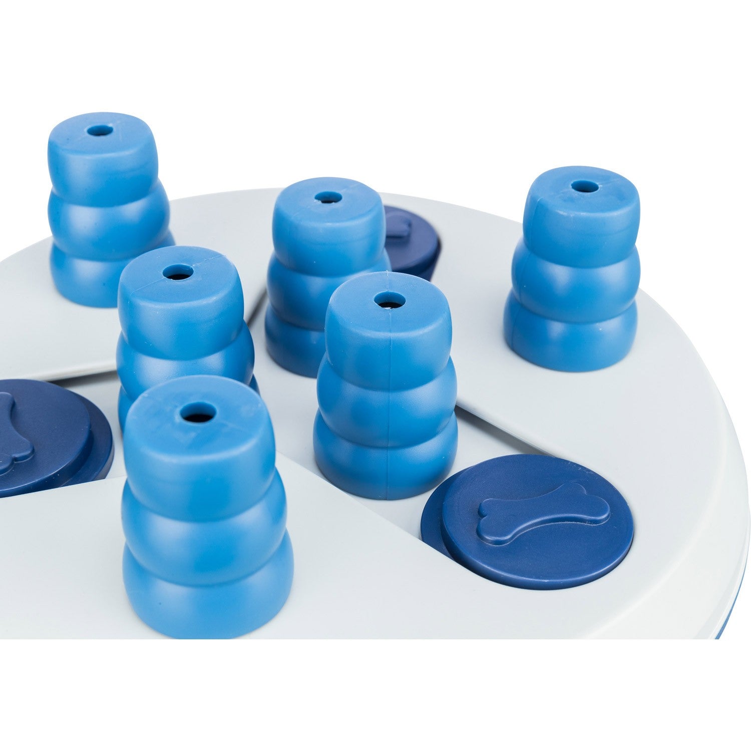 Dog Activity Slide & FunBoard