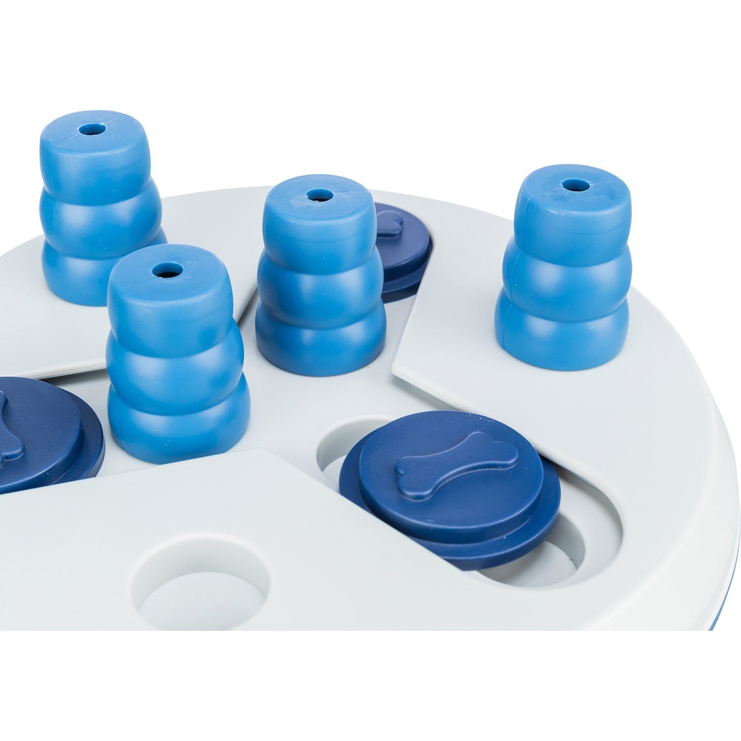 Dog Activity Slide & FunBoard