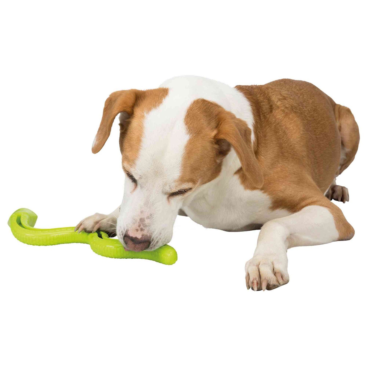 Serpiente Snacks - Pack de 3 unidades