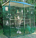 Voladero para pájaros de  Jardin 2m2 con techo a dos aguas