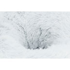 Cama Harvey gris/blanco-negro
