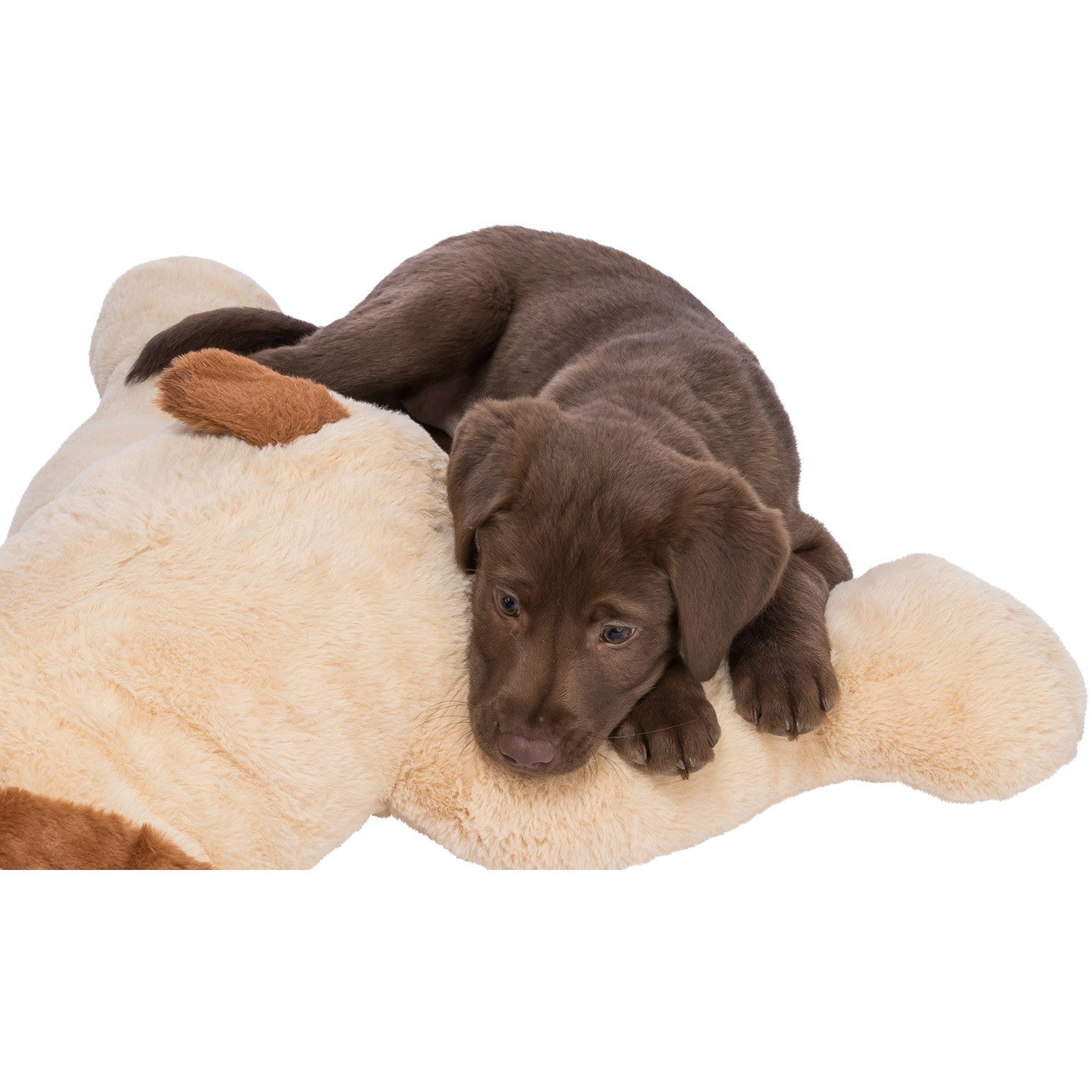 Perro mimado Benny beige/marrón 75cm