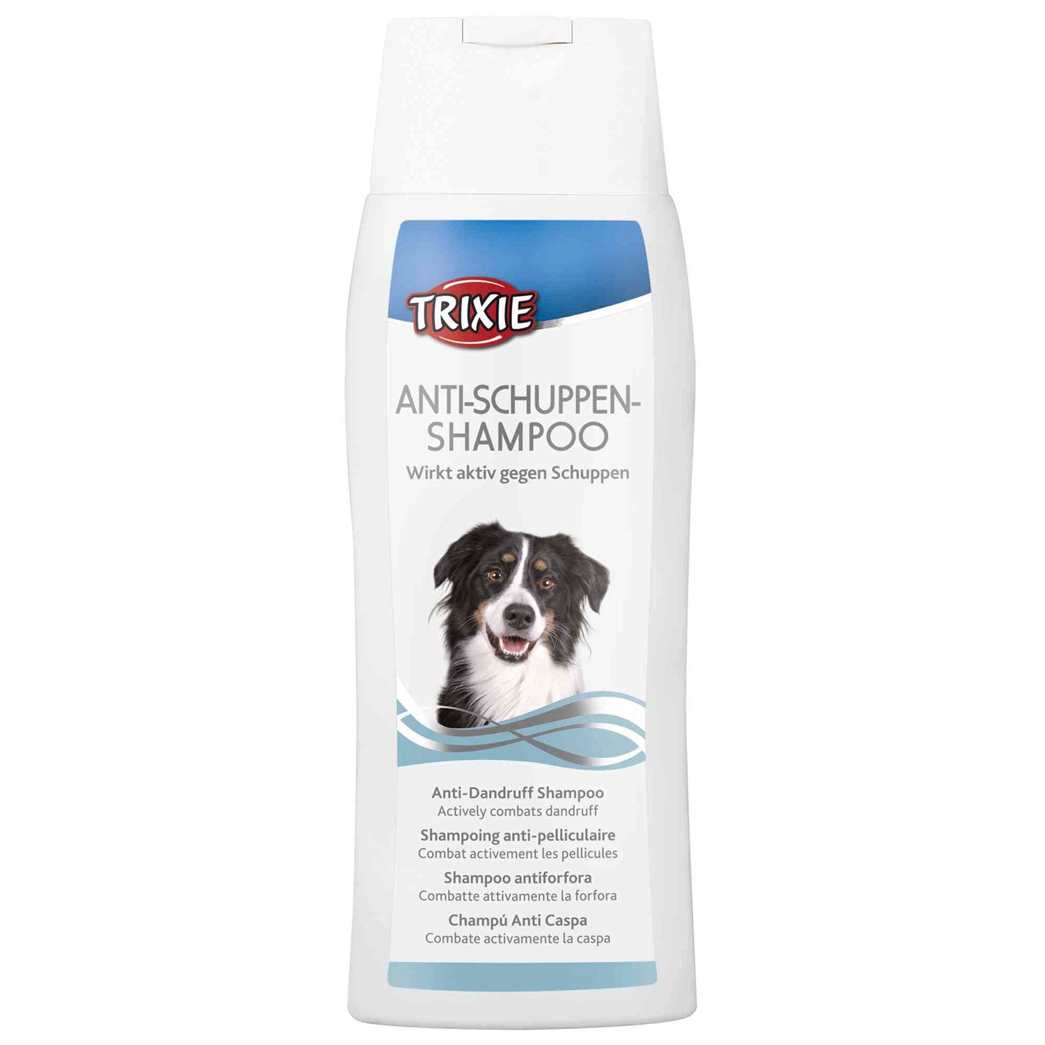 Champú Anti Caspa - Pack de 6 unidades