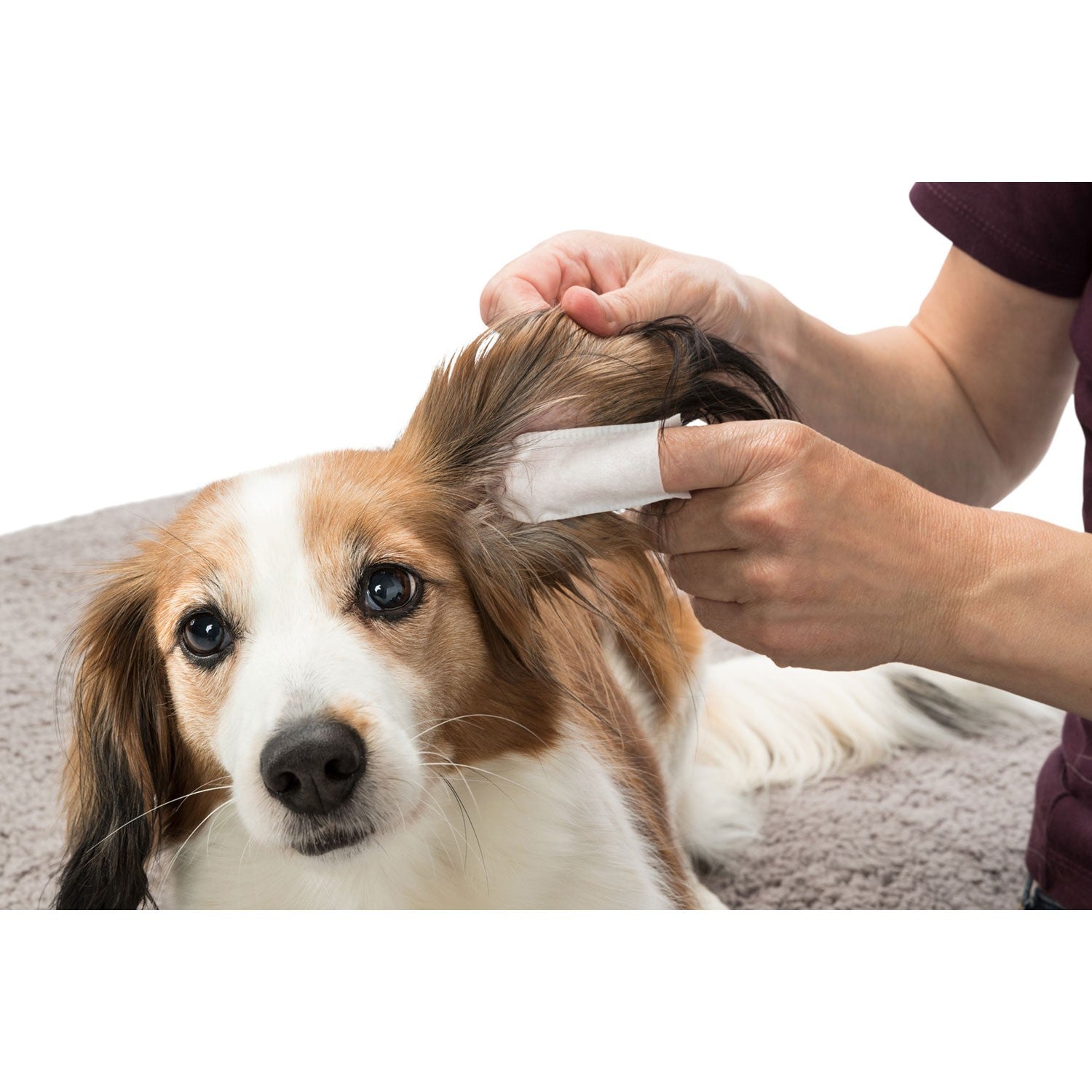 Ear Care Orejas Limpias - Pack de 4 unidades
