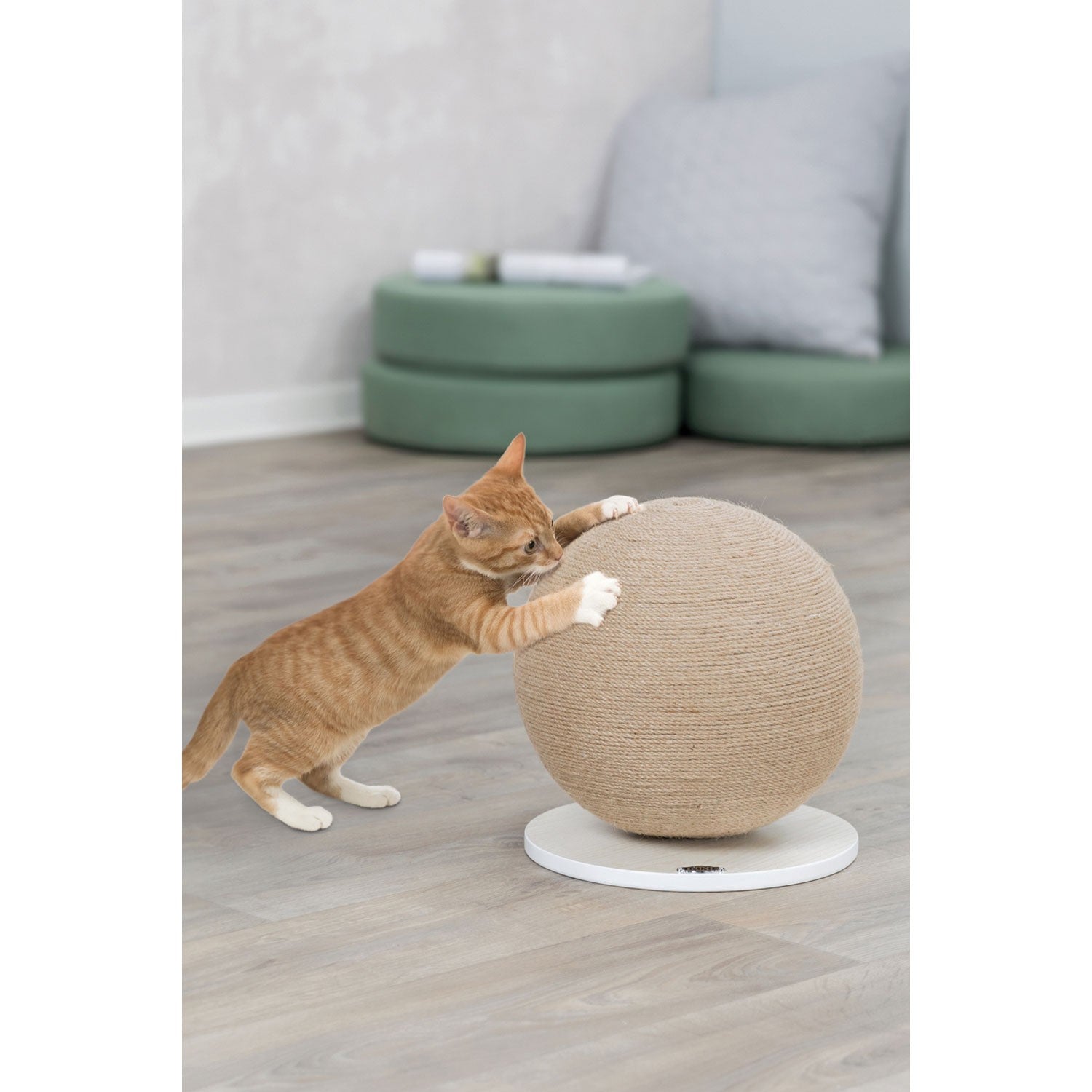 Bola de rascar Trixie para Gatos
