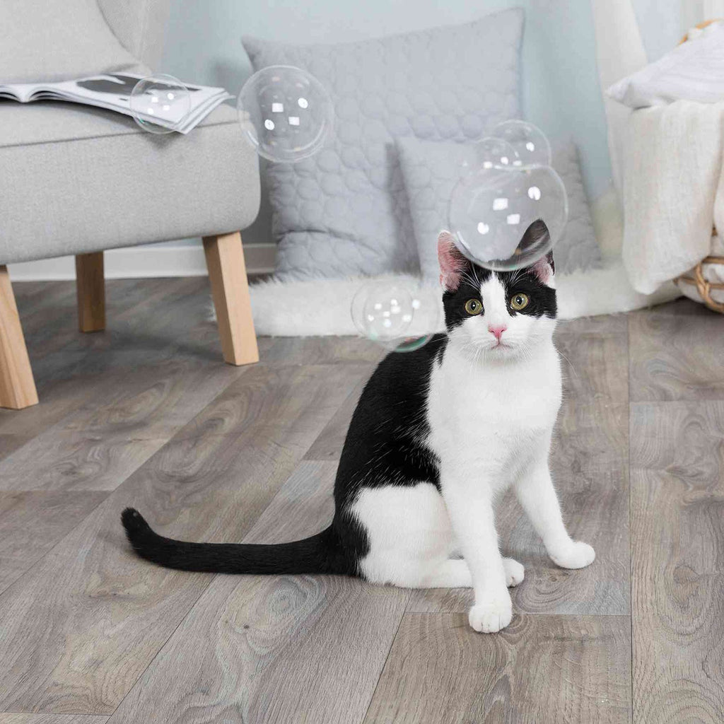 Burbujas de Catnip - Pack de 4 unidades