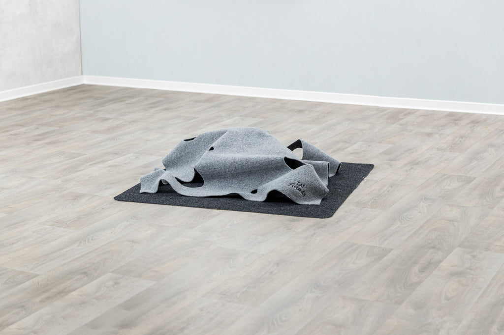 Adventure Carpet