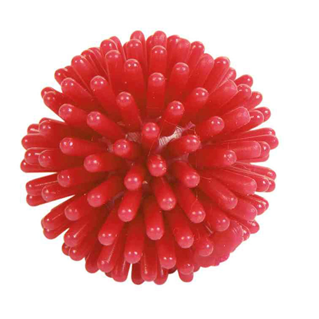 Surtido Pelotas Erizo - Pack de 120 unidades