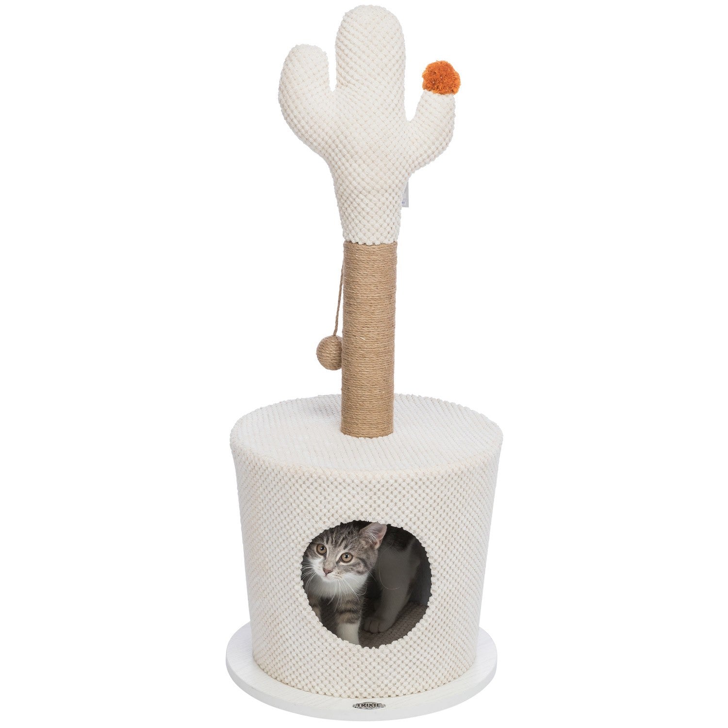 Cueva con cactus crema