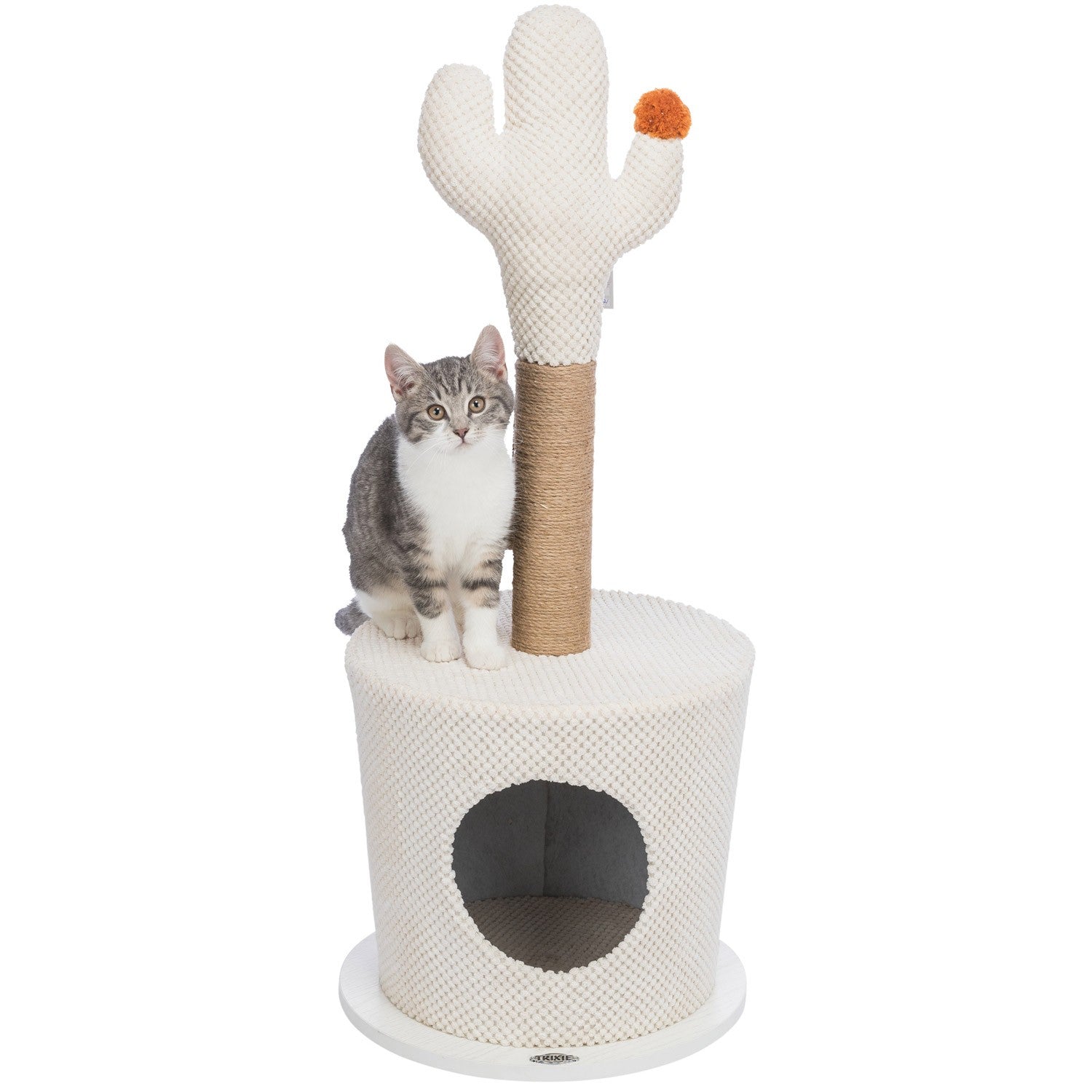 Cueva con cactus crema