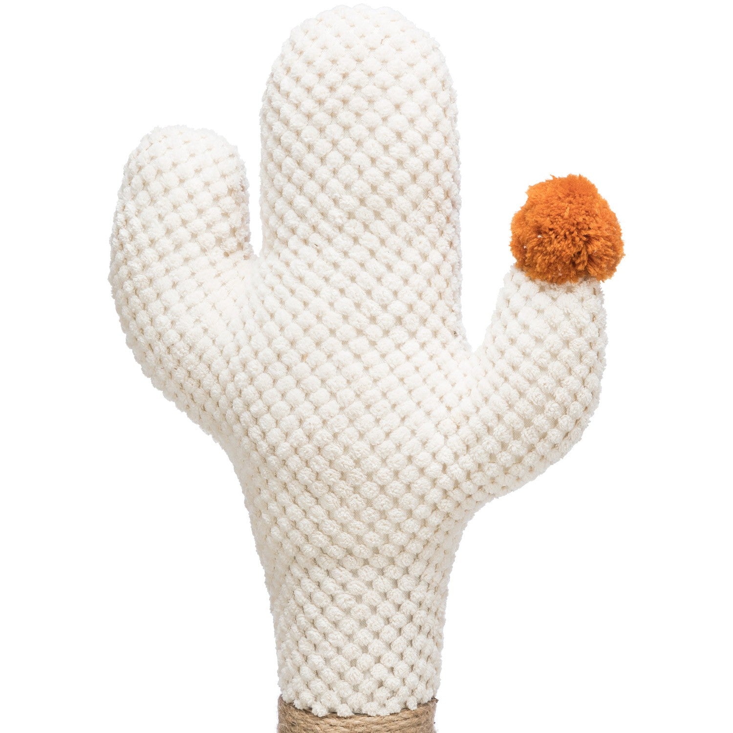 Cueva con cactus crema
