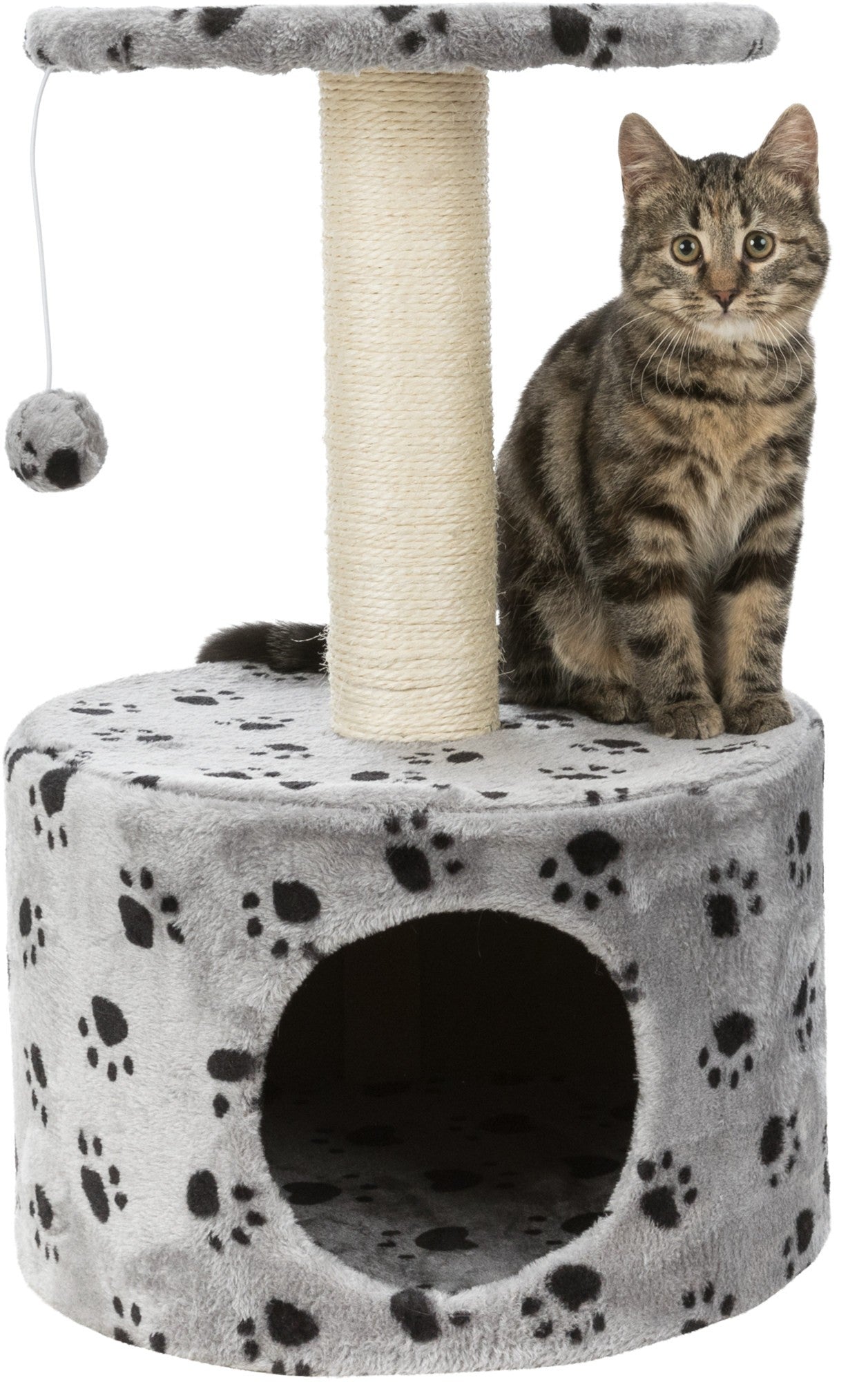 Junior Poste Rascador Toledo gris