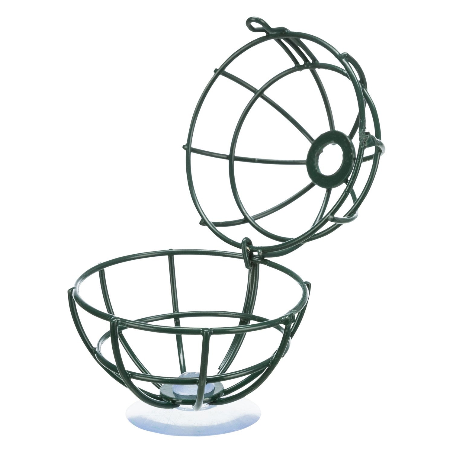 Soporte de bolas de grasa para el cristal de la ventana verde oscuro