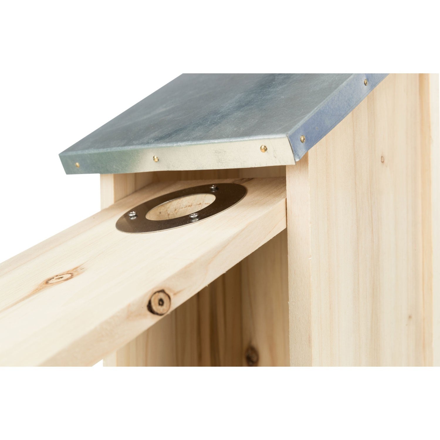 Caja nido para estorninos