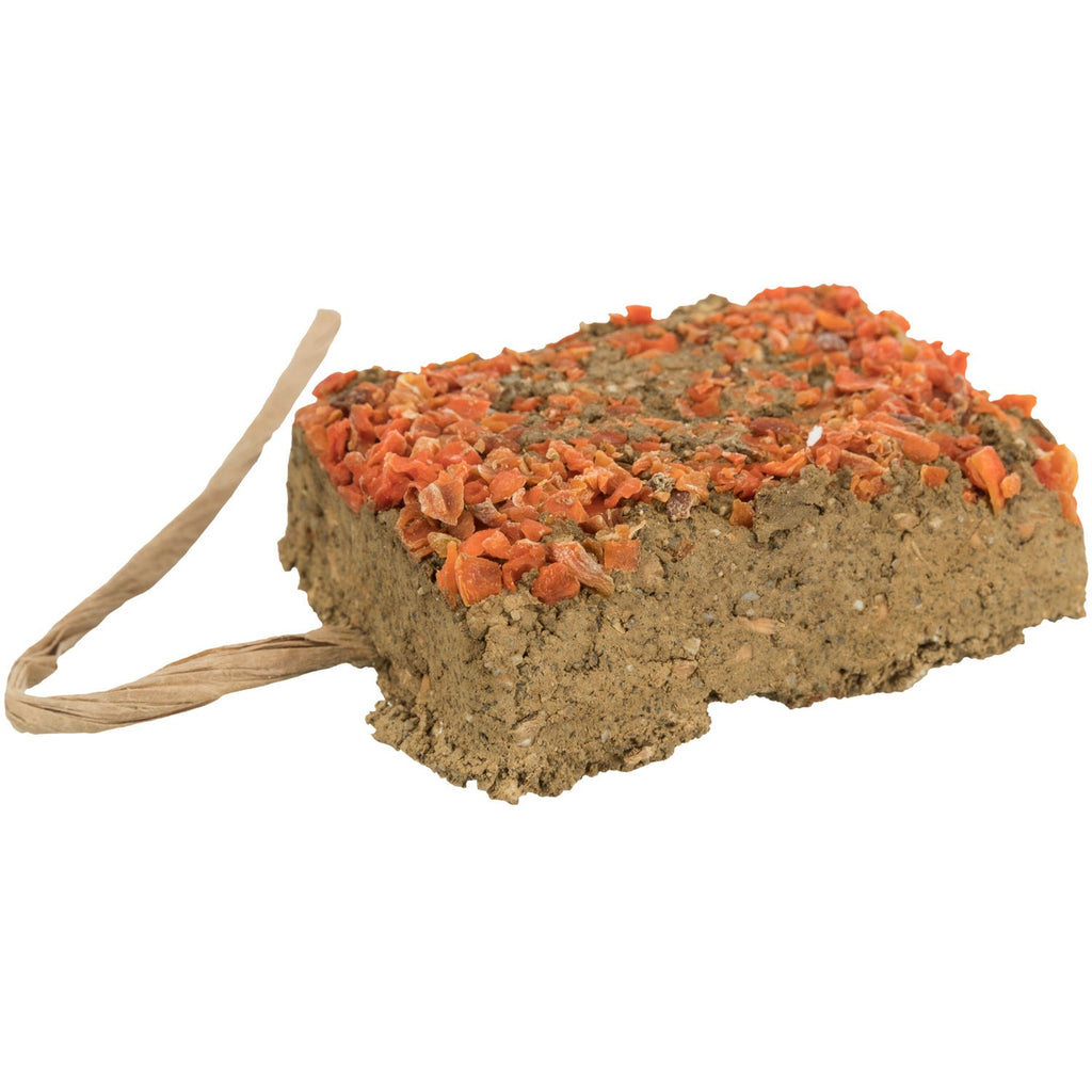 Piedra de arcilla con zanahoria - Pack de 10 unidades