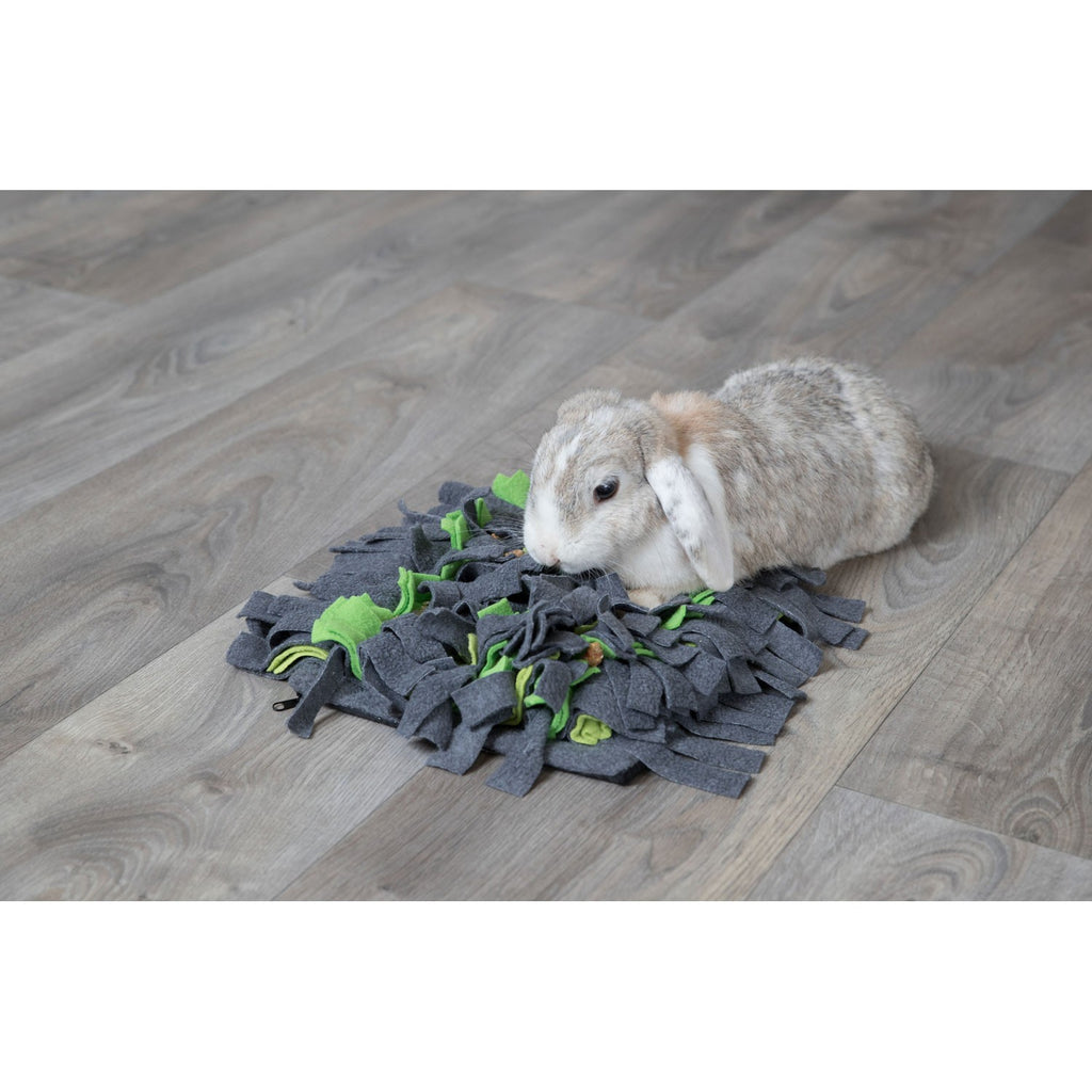 Alfombra para Olfatear gris/verde
